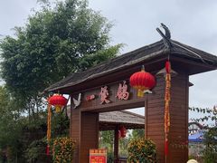 -一煲鸽