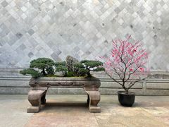 -胡雪岩故居