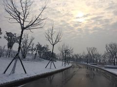 -金沙湖旅游度假区