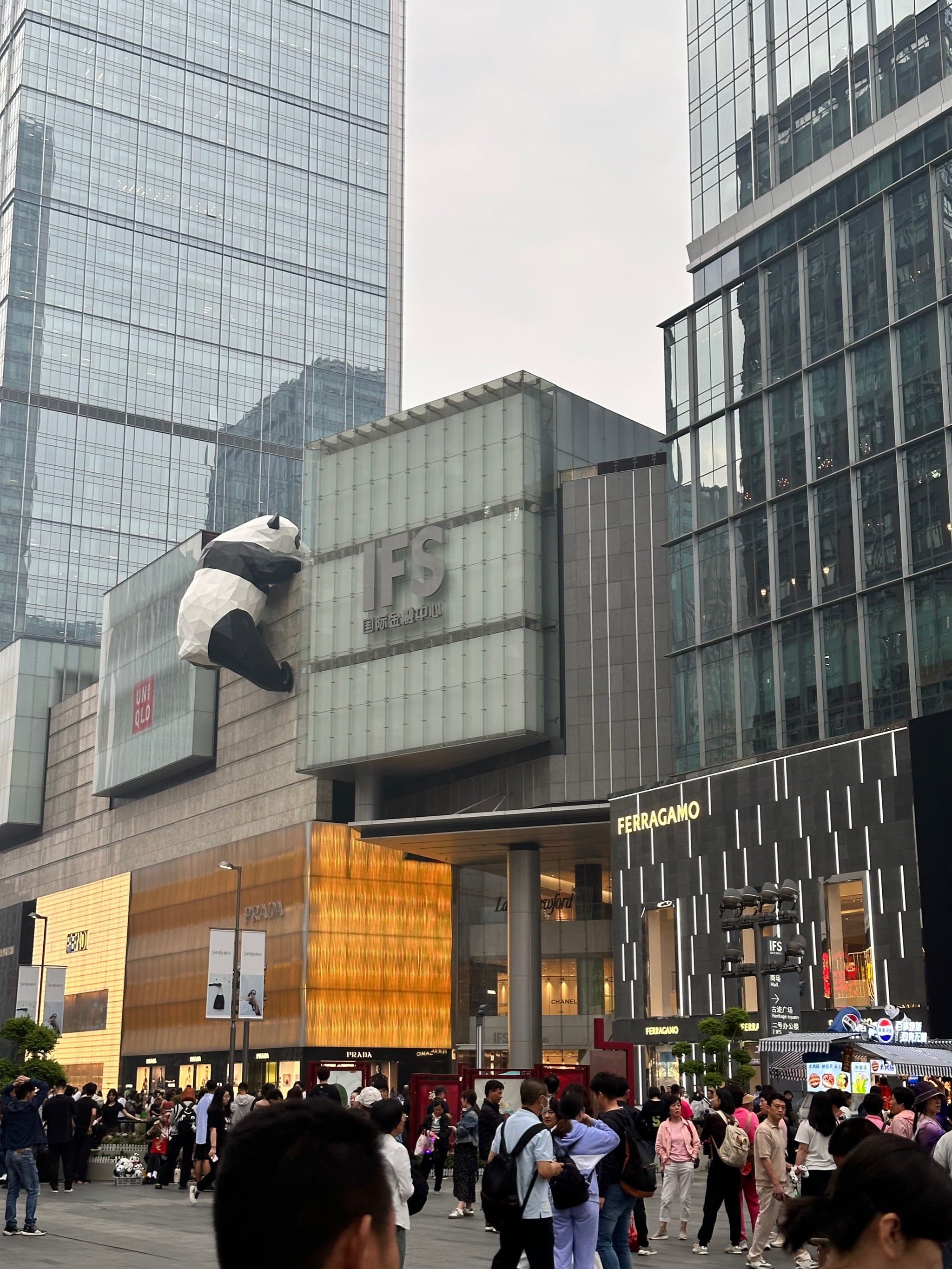 大熊猫宝宝的日常萌照之春熙路步行街