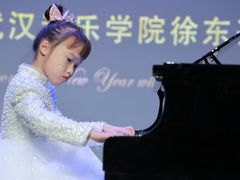 -武汉音乐学院徐东基地