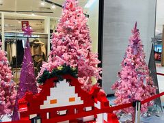 -石狮世茂摩天城摩天轮