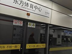 -东方体育中心(地铁站)