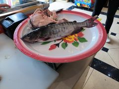 -老刘生态大鱼坊铁锅炖鱼(赛马场店)
