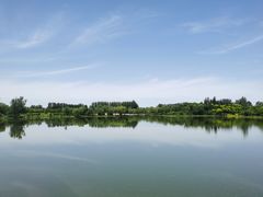 -东郊湿地公园