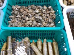 -王四营海鲜市场