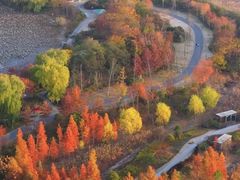 -昆山城市生态森林公园