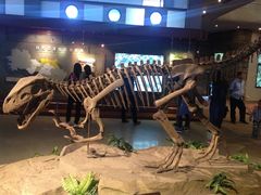 -自贡恐龙博物馆