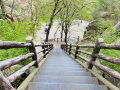 -北京凤凰岭