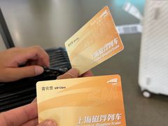 -龙阳路磁悬浮列车总站-停车场