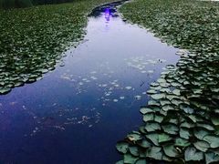 -暨阳湖生态园
