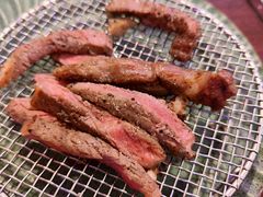 -杨小佳·齐齐哈尔烤肉·烤串(广州店)