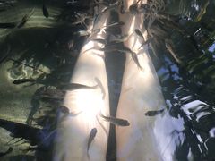 -三亚珠江南田温泉度假区