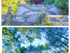 -云栖竹径