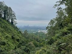 -水濂山森林公园