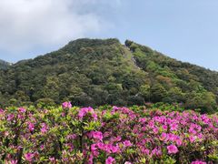 -梧桐山风景名胜区