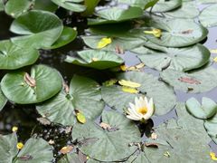 -常德桃花源景区