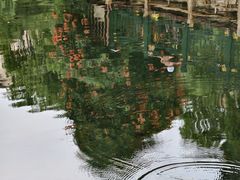 -环城公园