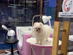 -FAELING PETS美天灵宠物(富力广场店)