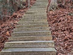 -安徽天堂寨风景区