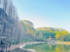 -广州市帽峰山景区