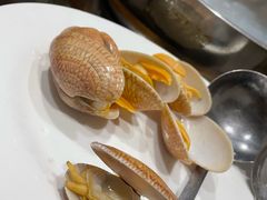 -凯华海鲜火锅·传承三十六年