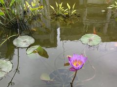 -广州市紫泥堂文化创意园景区