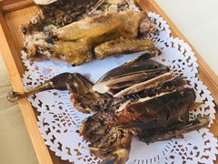 -食家鸽园