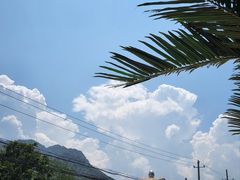 -都江堰石锅鱼