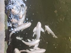 -世界地热博览园