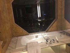 -新加坡丽思卡尔顿美年酒店