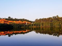 景点-三水森林公园