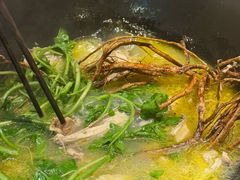五指毛桃锅底-阿鸡鱼庄·顺德鲜蒸小炒(亚运村店)