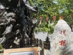 -大槐树寻根祭祖园