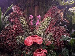 -正佳雨林生态植物园