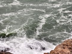 -广东惠东海龟国家级自然保护区