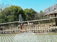-常州淹城野生动物世界