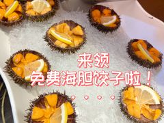 -日丰园海肠水饺·老字号大连海鲜(和平广场店)