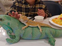 -FAIRYLAND龙族星球主题餐厅(凯丹广场店)