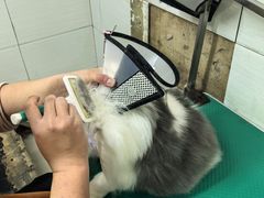 -酷狗靓猫宠物·洗护·美容·寄养(航北路店)