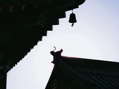 -天津大悲禅院
