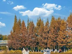 -白鹭湾湿地公园