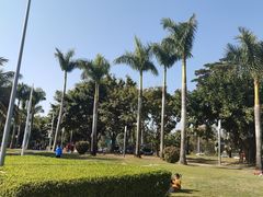 -深圳湾公园(南山区)