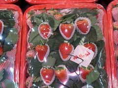 -双福水果批发市场