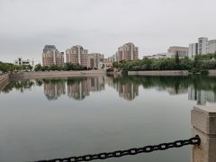 -青岛大学(金家岭校区)