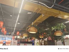 -成老灶火锅鸡(平山店)