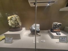 -北京中医药大学-中医药博物馆