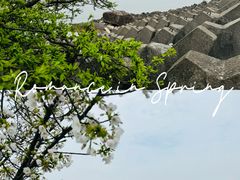 -上海滨江森林公园