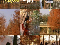 -白鹭湾湿地公园