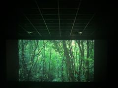 -苏宁影城(人民路店)